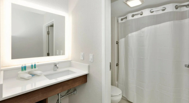 Двухместный люкс Holiday Inn Express & Suites Irving Conv Ctr - Las Colinas by IHG