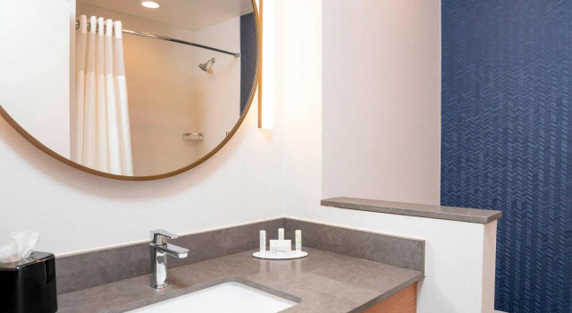 Четырёхместный люкс Fairfield Inn & Suites by Marriott Fair Oaks Farms