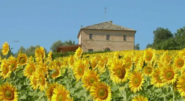 Agriturismo Casina Foglietti, Rezervovat Hotel  