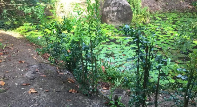 Коттедж Cozycomo Chanthaburi