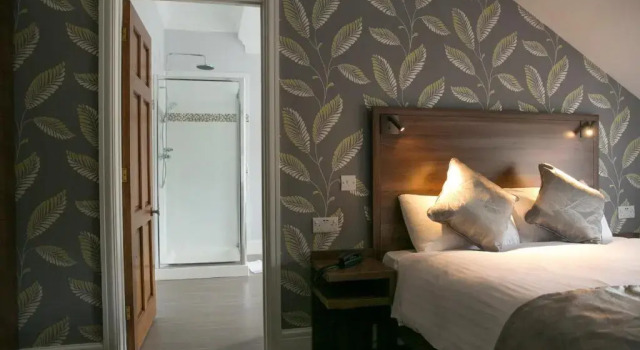 Двухместный номер Standard Manor Parc Hotel