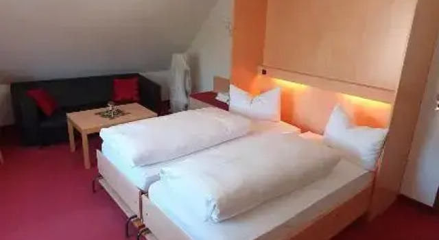 Номер Deluxe Hotel Restaurant Rebstock
