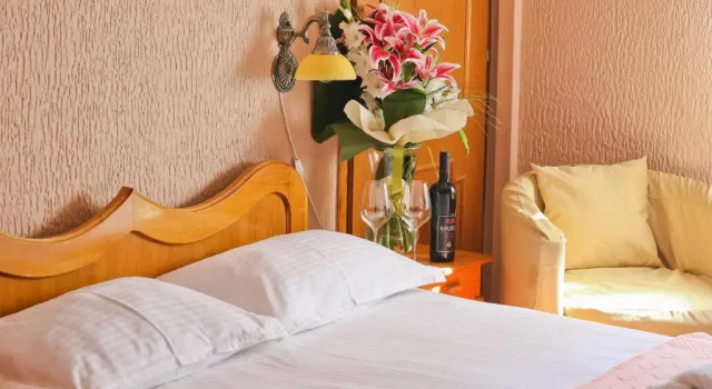 Одноместный номер Standard Hotel Marija