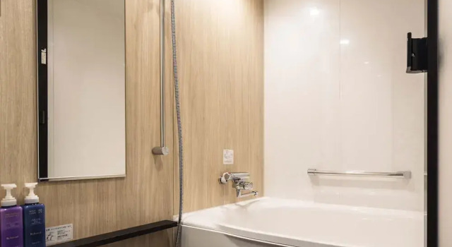 Трёхместный полулюкс с видом на город Richmond Hotel Obihiro Ekimae