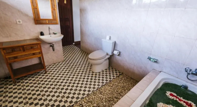 Полулюкс Arta Nadi Villa