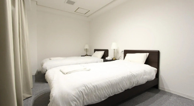 Двухместный номер Standard Rozy Hotel Namba