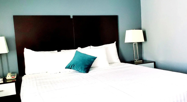 Двухместный номер Standard Garden Executive Hotel