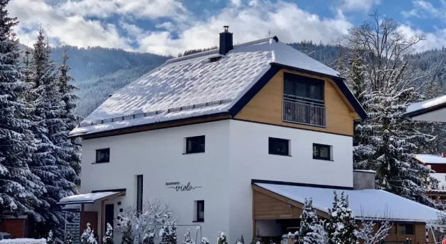 Апартаменты c 1 комнатой Apartments Viola Altenmarkt