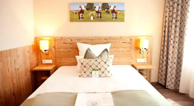 Одноместный номер Standard Hotel & Restaurant Zum Reussenstein
