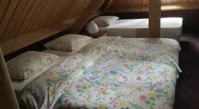 Bos Huisje, Reserva ahora Hotel Putten Veluwe