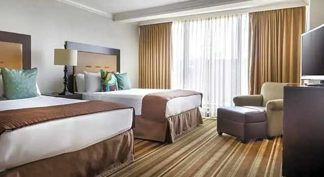 Четырёхместный номер Standard с видом на город The San Luis Resort Spa & Conference Center