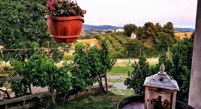 Студия Agriturismo I Casamenti
