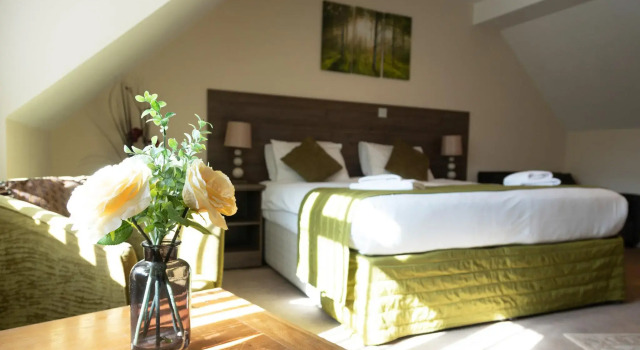Двухместный номер Standard The Limes Country Lodge Hotel & Admiral Restaurant