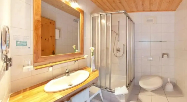 Одноместный номер Standard с балконом Landhotel zum Bad