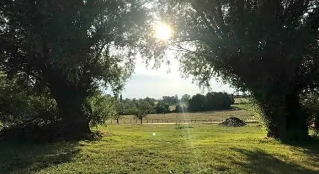 La Grange à outeaux, Book Hotel Hotels in Burgundy with a Pool, Swimming Pool
