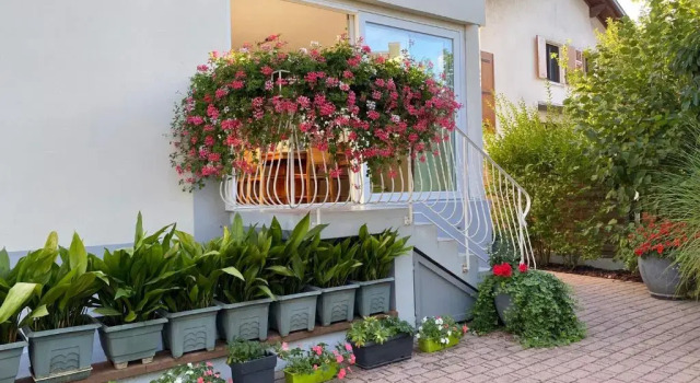 Appartement Le Jardin, Book Apartment  