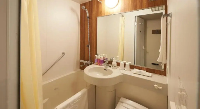 Двухместный номер Comfort Sotetsu Fresa Inn Nihombashi Kayabacho
