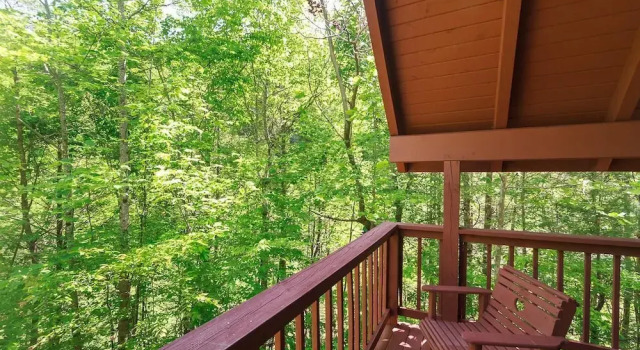 Sunset - Studio Cabin