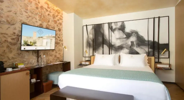 Полулюкс Superior Sa Creu Nova Petit Palais Art & Spa
