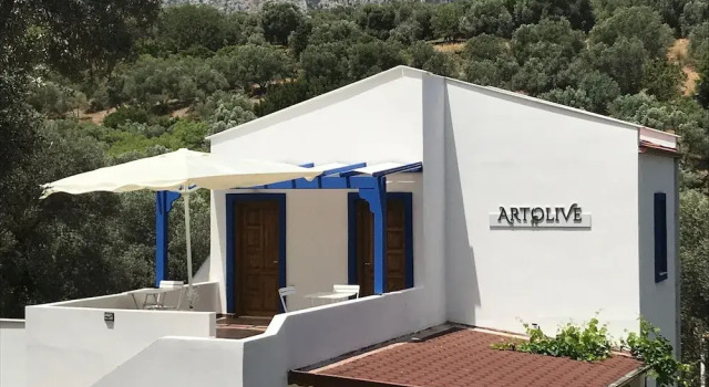 Artolive Datca