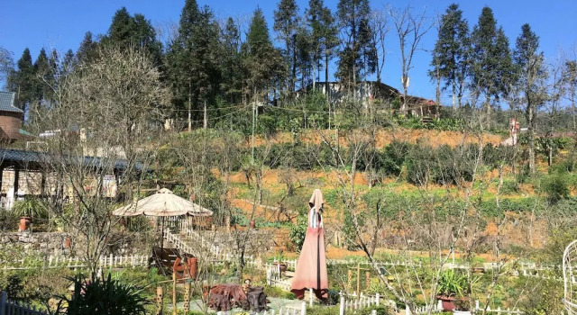 Номер Standard Sapa Garden Resort