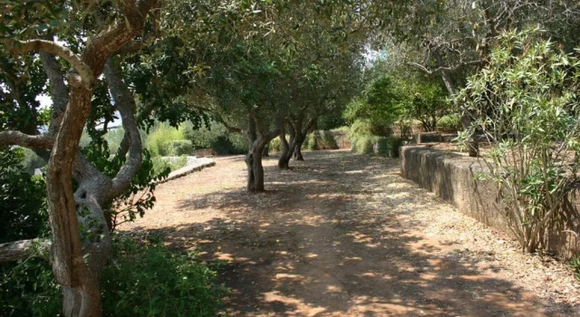 Appartamento in Villa fortunata terra