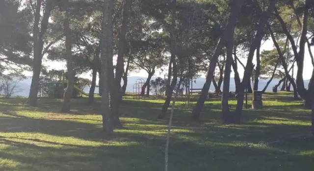 Apartman Petar