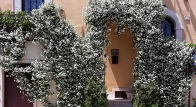 B&B Il Principe, Buchen Sie Bed & Breakfast Hotels in Metropolitanstadt Bari mit Parkplatz, Parkplätze