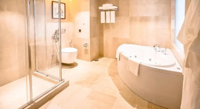 Номер Standard c 1 комнатой Holiday Inn Dhaka City Centre by IHG