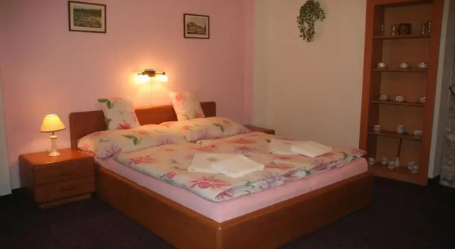 Двухместный номер Standard Chebsky dvur - Egerlander Hof