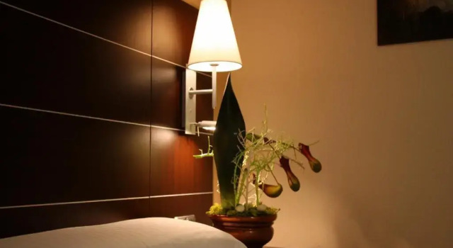 Одноместный номер Hotel Las Ventas