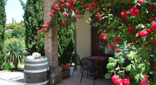 Номер Standard Podere Fontecastello