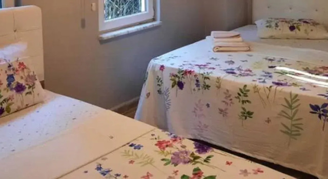 Bozcaada Yeşilyol Taşev, Rezerwuj Dom wakacyjny Domki letniskowe w Bozcaada, Domek