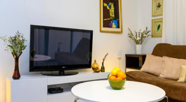 Dalmatinska Apartment