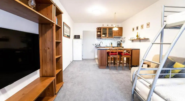 Апартаменты Apartmán Harrachov 608