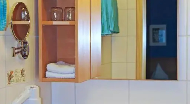 Двухместный номер Superior Löwenhof