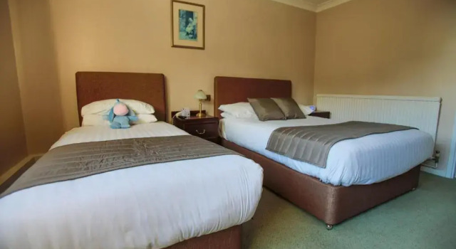 Трёхместный семейный номер Standard Oaklands Hotel