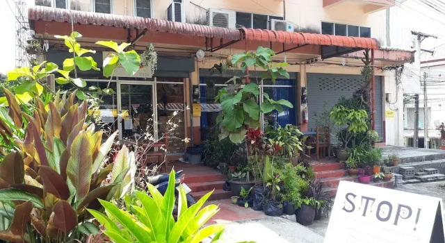 Pearl Beach Holiday Apartments
