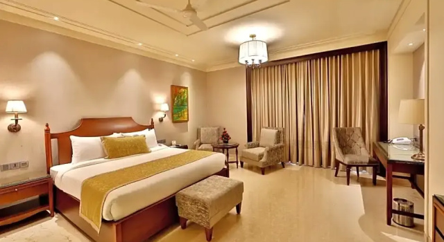Двухместный номер Premium Hotel Maharaja Regency