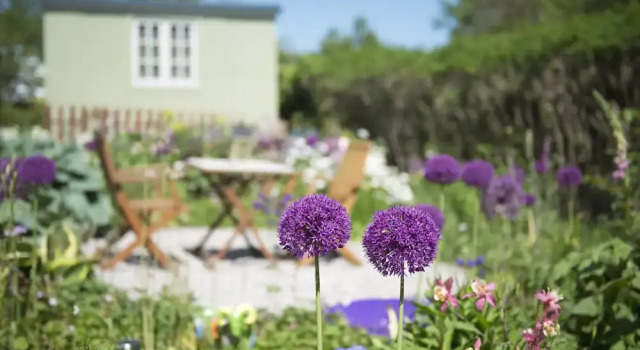 The Mount Self Catering