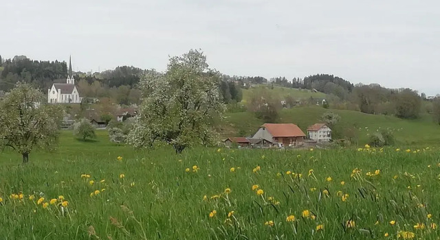 Апартаменты Billenberghof