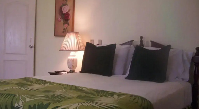 Habitación doble Estándar Honduyate