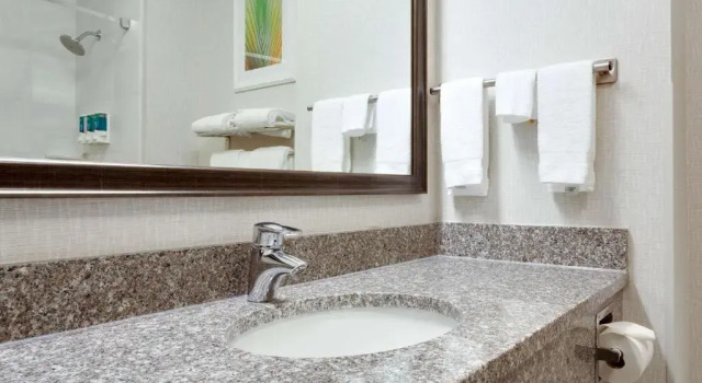 Люкс Drury Inn & Suites Greenville