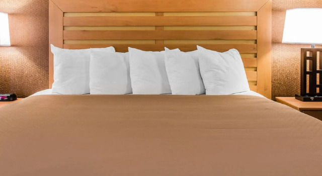 Номер Standard Quality Inn & Suites Warren - Detroit