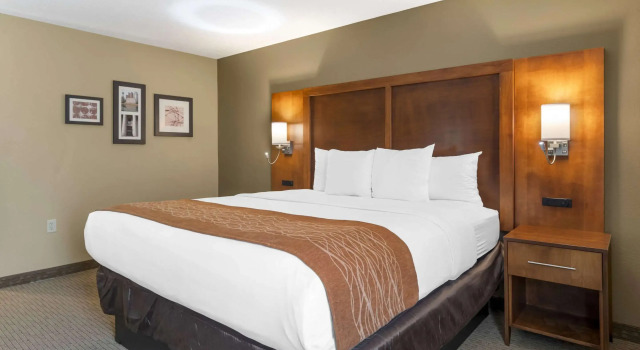 Двухместный номер Standard Comfort Inn North-Polaris