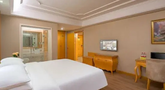 Люкс Deluxe Vienna International Hotel Changsha Lu Gu Branch