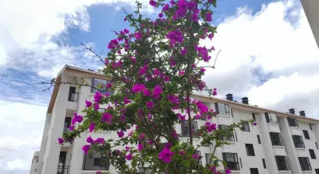 Maili Feng Holiday Homestay, Rezerwuj Hotel Hotele w Baoshan z parkingiem, Parking