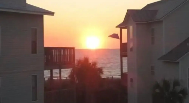 Coastal Sunshine