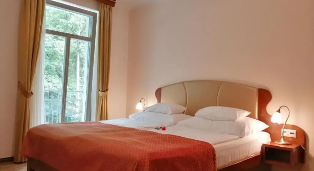 Люкс Parkhotel Forest