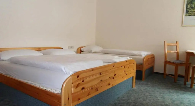 Трёхместный номер Standard Hotel Grüner Baum